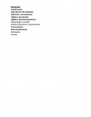 ANALISIS DE GESTION ADMINISTRATIVA - CASO Nº 1: EMPRESA BOTELLA C.A.