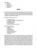 Gestion comercial CASO DELL
