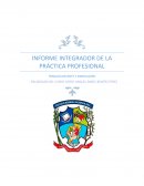 INFORME INTEGRADOR DE LA PRÁCTICA PROFESIONAL TRABAJO DOCENTE E INNOVACIÓN