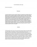 Franja Metalogenica Maricunga