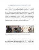 LA EVOLUCIÓN DEL HOMBRE, CEREBRO Y FILOSOFÍA