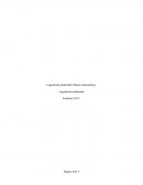 Legislación ambiental Chilena Atmosférica