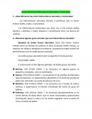 Desarrollo de los Hidrocarburos Saturados e Insaturados