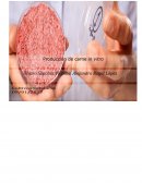 Producción de carne in vitro