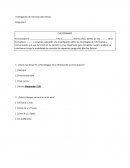Investigación de mercado- CUESTIONARIO