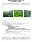 MARIHUANA: Resumiendo sus aspectos básicos