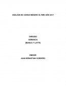 ANALISIS DE CARGO MESERO ÚLTIMO AÑO 2017