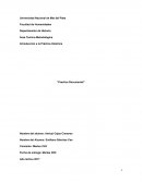 Introducción a la Práctica Histórica
