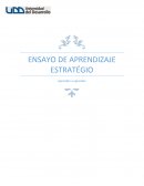 Ensayo aprendizaje estratégico