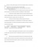 Trabajo practico politica y ciudadania