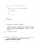 Contenido del Trabajo de Investigación