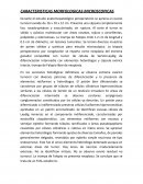 CARACTERISTICAS MORFOLOGICAS MICROSCOPICAS