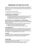 Cual es la Seguridad de base de datos