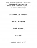 LA RELACION ENTRE MATERIALISMO, FUNCIONALISMO Y MONISMO ANOMALO, Y LA INTELIGENCIA ARTIFICAL