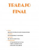 La desaceleración económica y la devaluación del YUAN que el Estado Popular de China el 27 de agosto del presente año arazá con las economías Mundiales perjudicando a muchos países y favoreciendo a algunos países que no son muy dependientes del pa