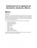 La gran Clasificación de la vegetación de Ojocaliente, Zacatecas y México.