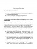 Caso Caesar IT Los elementos diferenciadores de la empresa