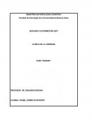 Clinica de la ansiedad. Caso “Raquel”