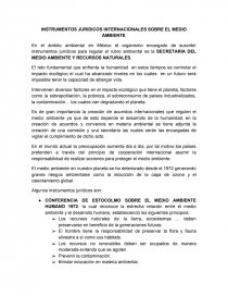 LOS INSTRUMENTOS JURIDICOS INTERNACIONALES SOBRE EL MEDIO AMBIENTE. Página 1