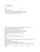 Evaluacion de lengua