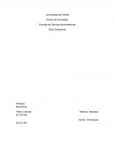 Ética Profesional Valores morales