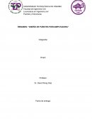 El Resumen De Seminarios Online (Puentes Sismo Resistentes)