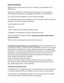 Electronic Industries un nueva empresa