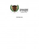 EPISTEMOLOGIA Y SU INTRODUCCION