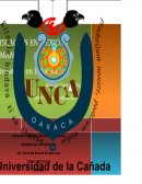 LA GRA LEGISLACION EN MEXICO Y ALEMANIA