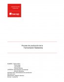 El primer proceso es el flujo lineal como también es conocido por sistema continuo, así lo denomina Roger G. Schroeder y denominado como repetitivo según Richard Chase