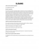 ¿Cuál es el tema central de la película?