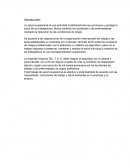 La salud ocupacional es una actividad multidisciplinaria que promueve y protege la salud de los trabajadores. Busca controlar los accidentes y las enfermedades mediante la reducción de las condiciones de riesgo