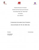 Componente Comunitario Socio Productivo