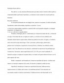 Se encuentra delimitado por un triángulo óseo, anterior se encuentra: la sínfisis del pubis, lateralmente: ambas tuberosidades isquiáticas y posterior: el coxis.