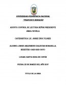 EJEMPLO DE ENSAYO SEÑOR PRESIDENTE