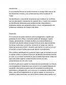 Un Ensayo moral y etico pelicula el vuelo