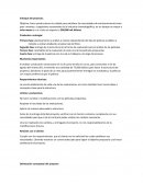 Como avanza el Enfoque del proyecto