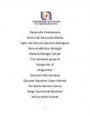 El mejor Desarrollo embrionario