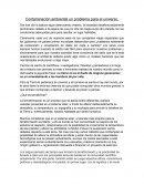 La gran Contaminación ambiental un problema para el universo.