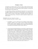 Cuales son los Principios y valores