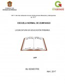 ENSAYO Metas, acciones y/o estrategias