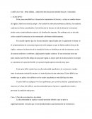 EL CAPÍTULO VIII PISO DÉBIL - DISCONTINUIDAD DE RESISTENCIA Y RIGIDEZ