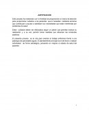 Proceso pancreatitis