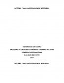 UN INFORME FINAL INVESTIGACION DE MERCADOS
