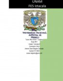 Comentario crítico del psicólogo clínico