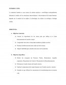 La anatomía humana Procesos vitales.