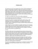 Negocios Internacioneles global