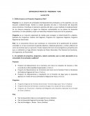 UN PROYECTO - PROGRAMA - PLAN