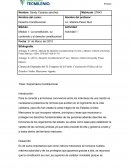 La constitución, su contenido y el derecho constitucional.