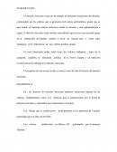 El derecho mexicano como tal ha surgido de diferentes acepciones del derecho